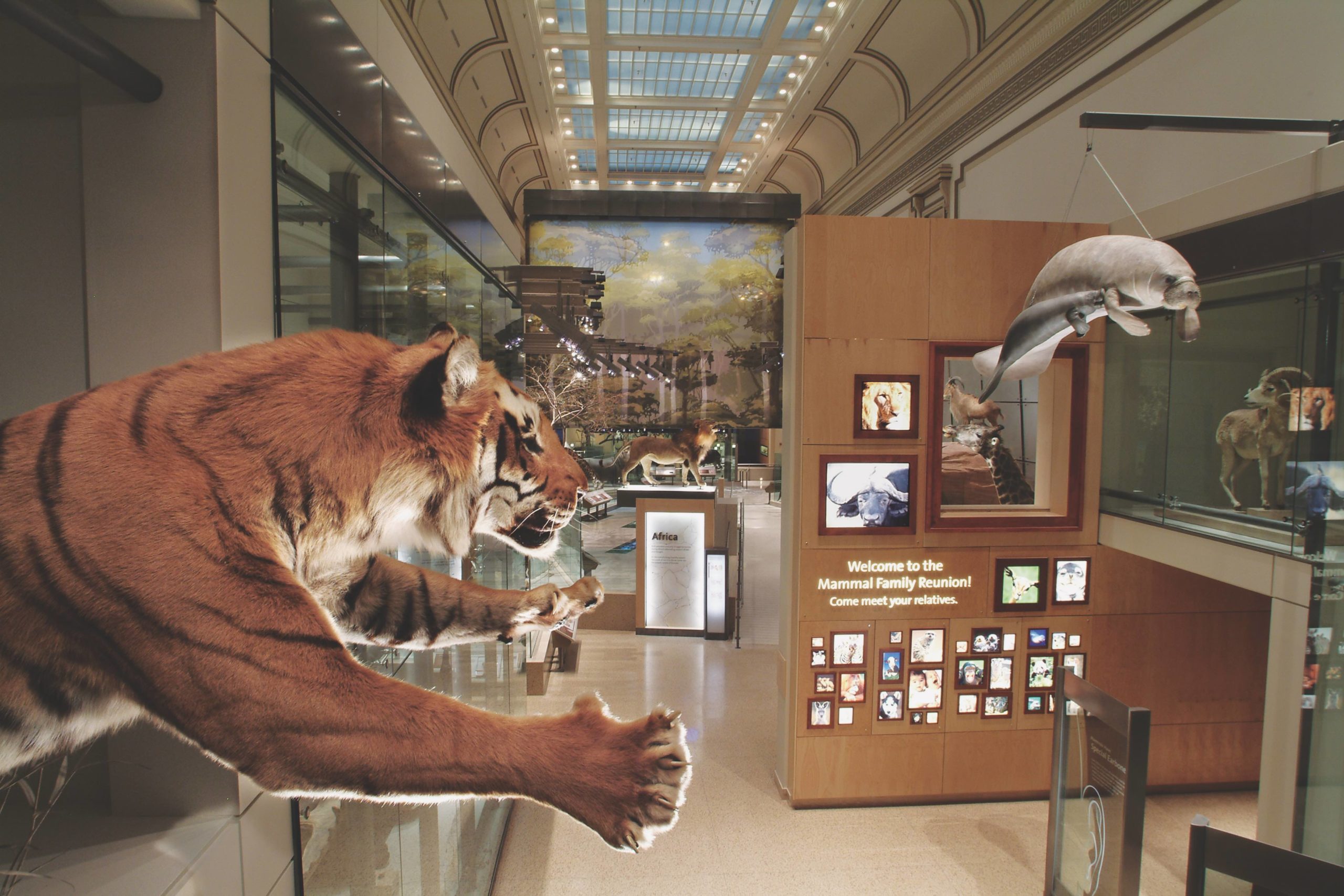 Smithsonian national museum of natural history