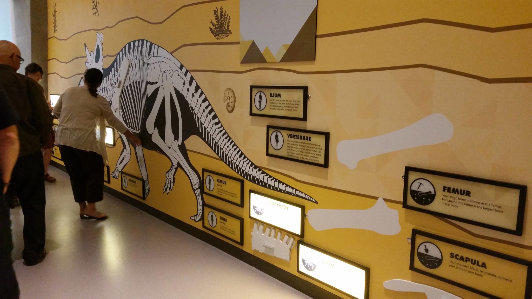 Philip J. Currie Dinosaur Museum - R&P Design