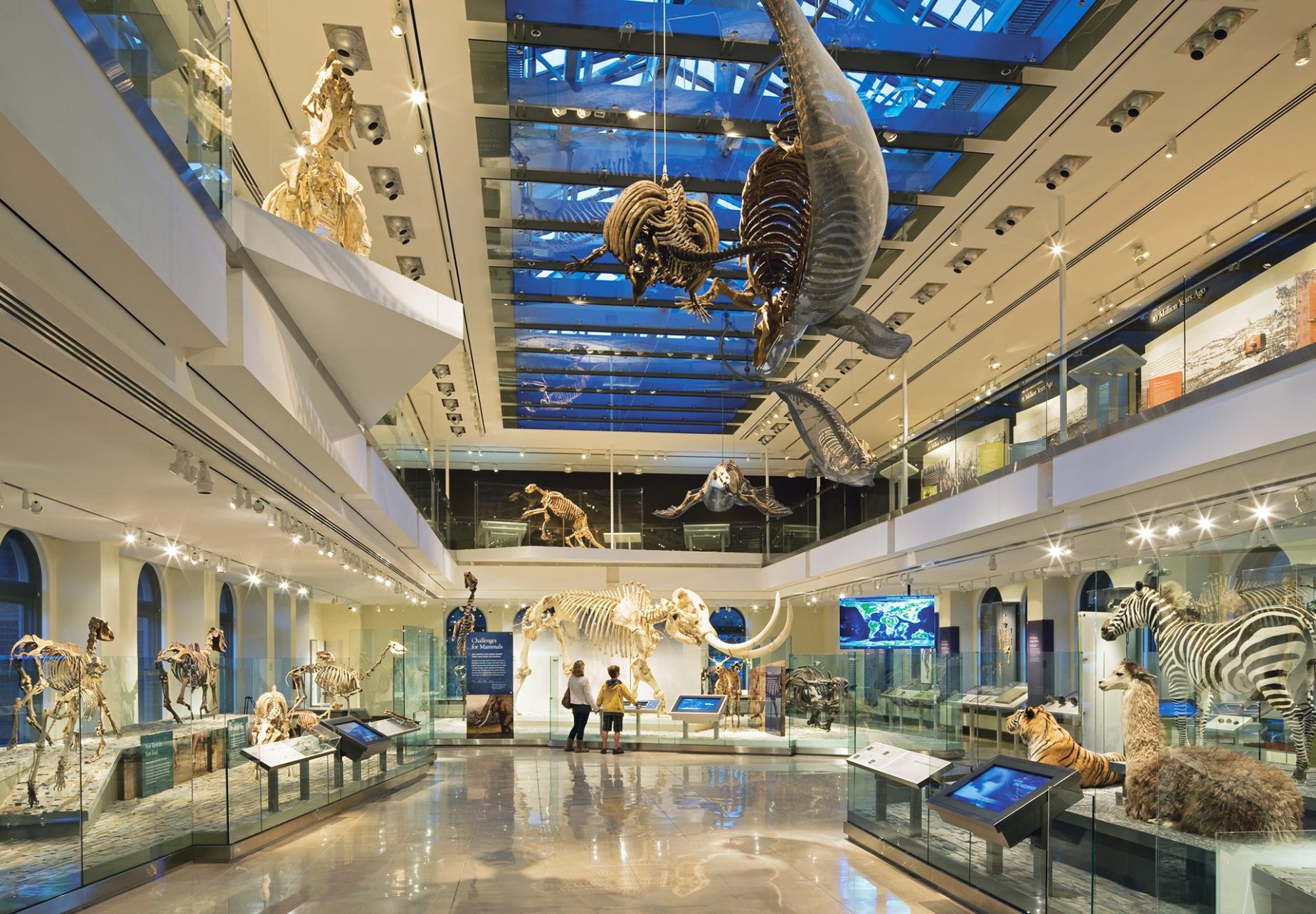 cleveland-museum-of-natural-history-picks-physicist-as-its-new-director